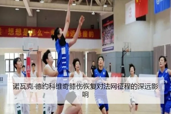 诺瓦克·德约科维奇膝伤恢复对法网征程的深远影响